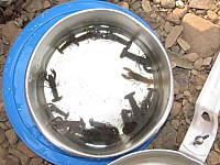 2008 GettysburgCamping-072.JPG
